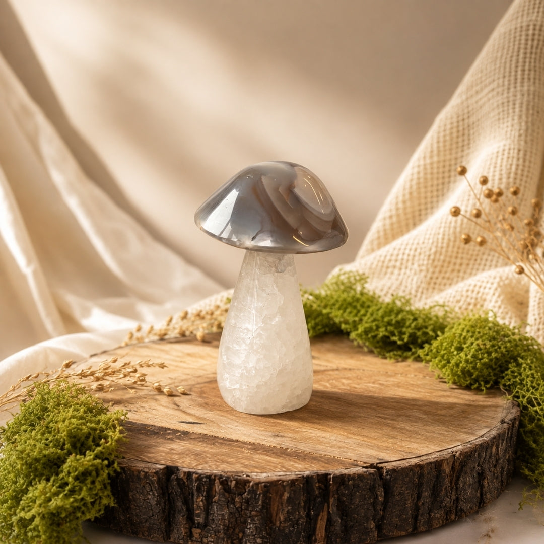 Money Mushroom
