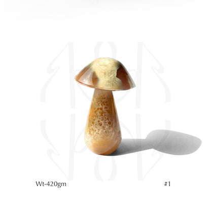 Money Mushroom