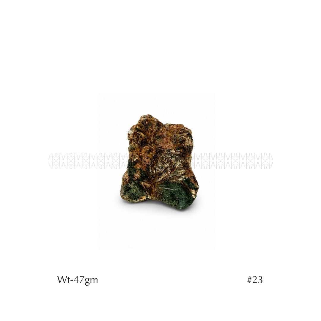 Soul Mission Lamprophyllite