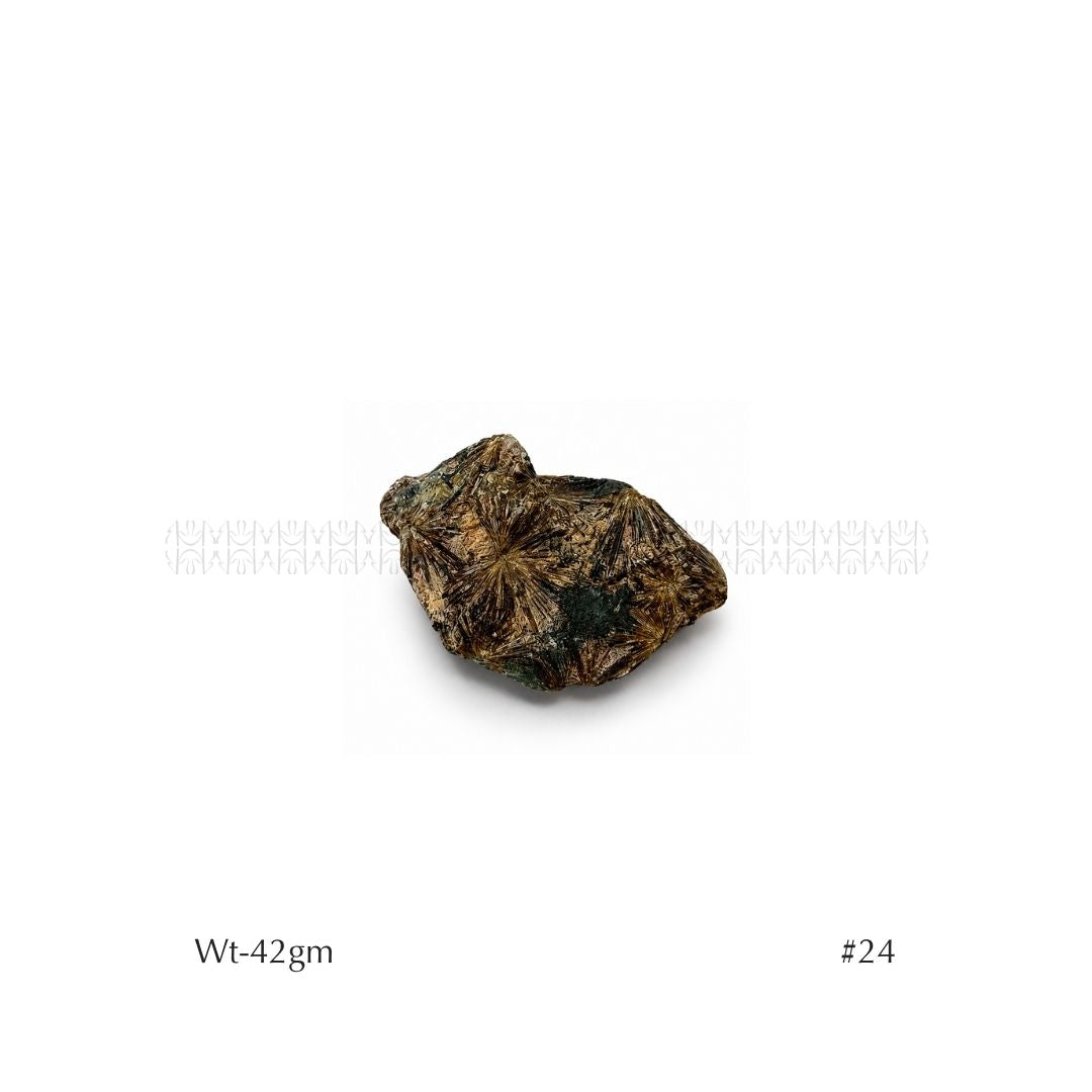 Soul Mission Lamprophyllite