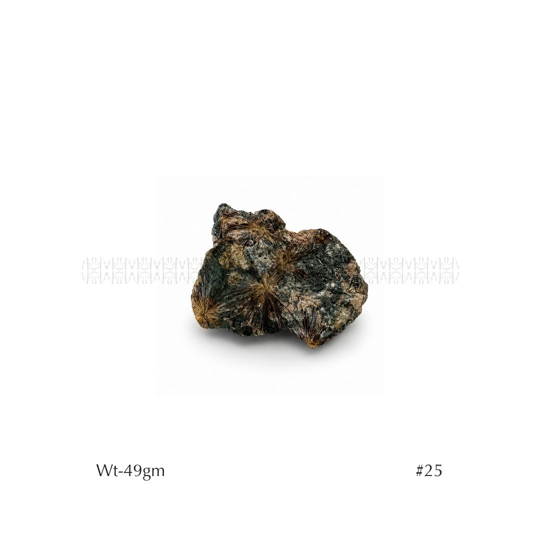 Soul Mission Lamprophyllite