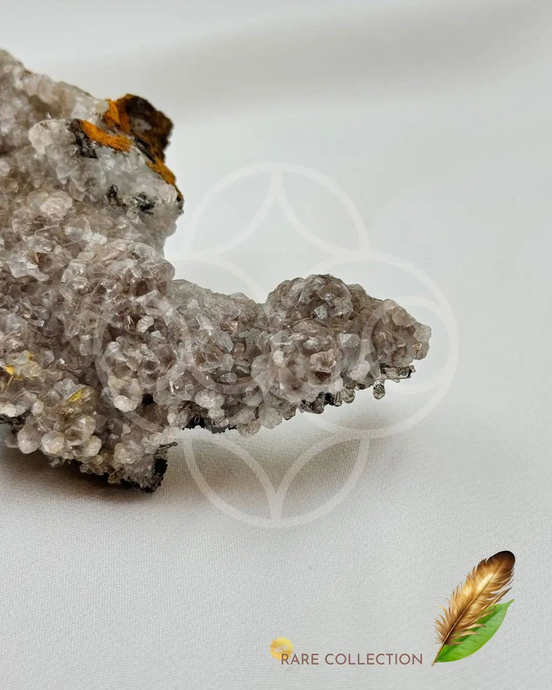 The Moon Onyx Cluster