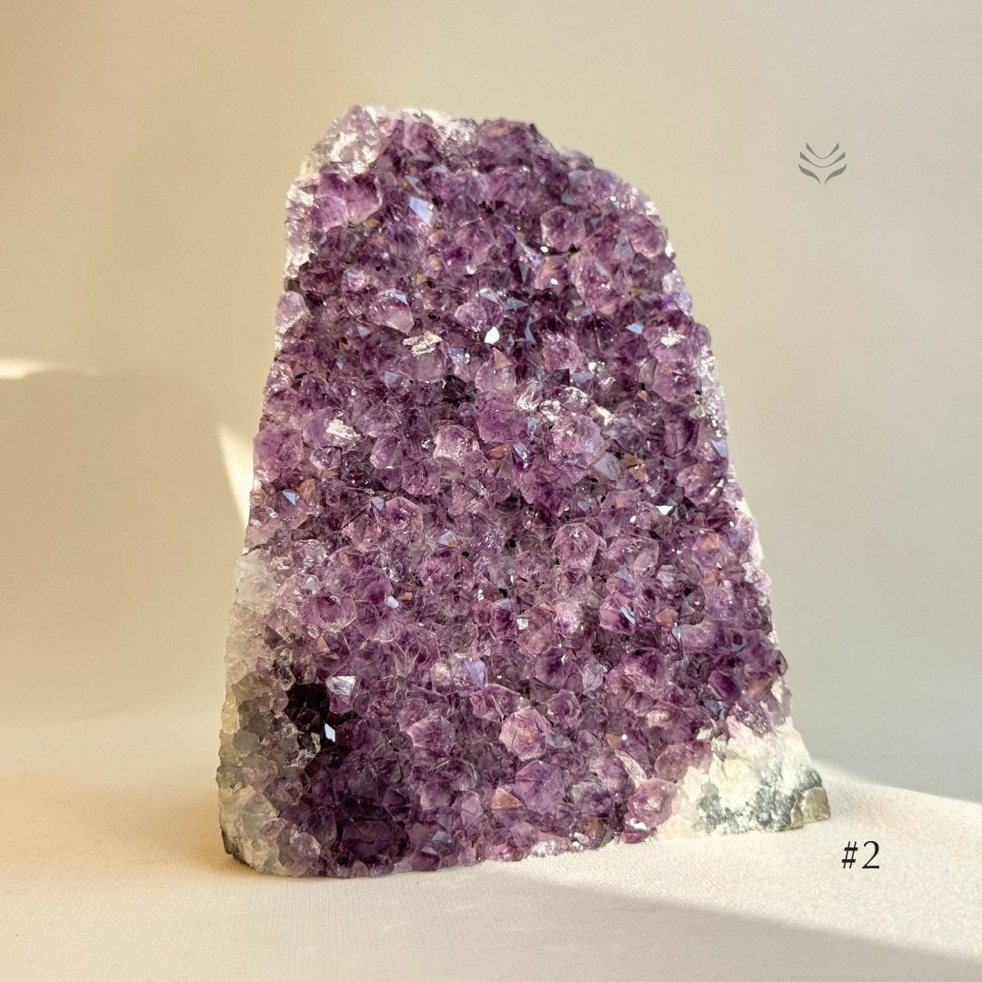 Amethyst Cluster
