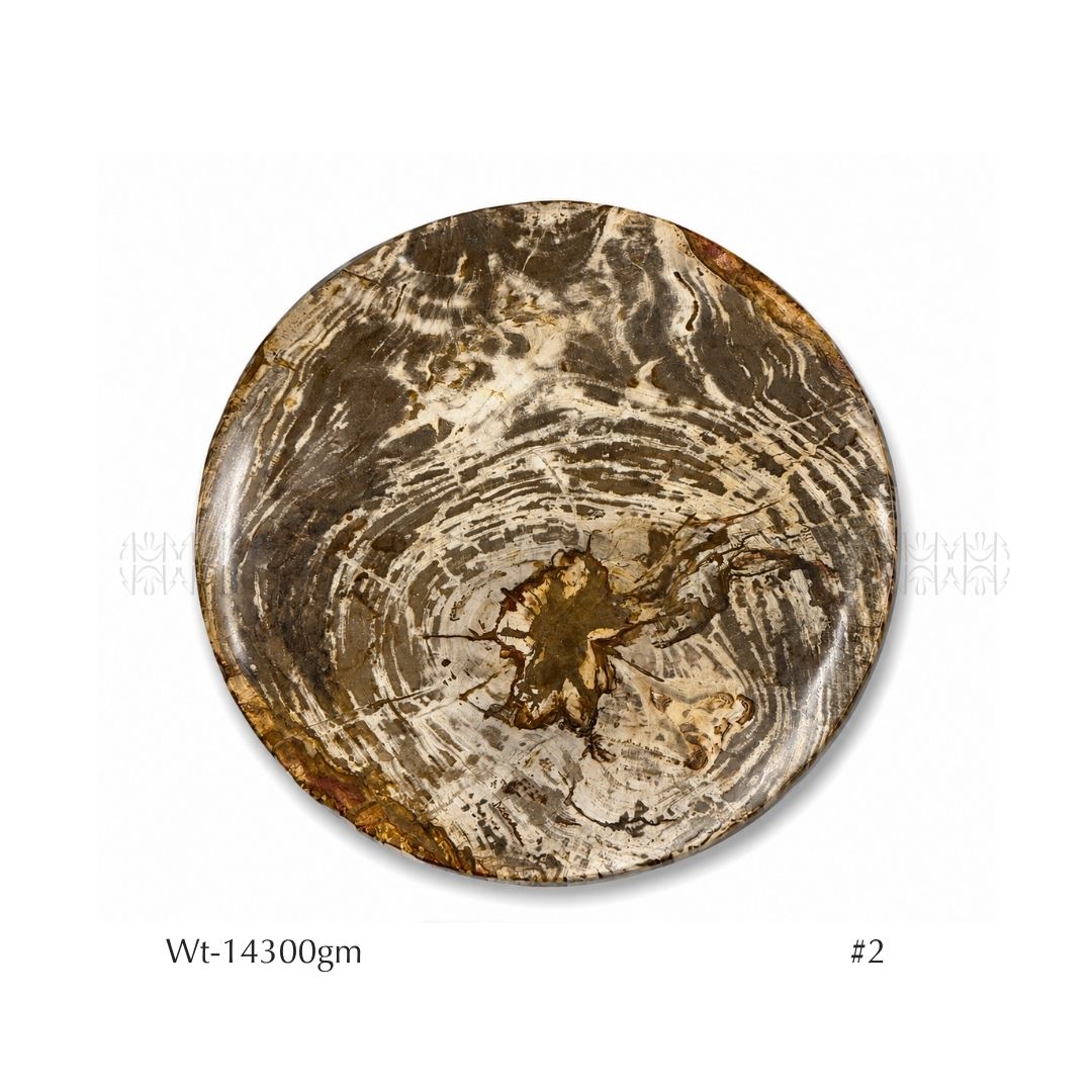 Empire Altar Petrified Wood Base 