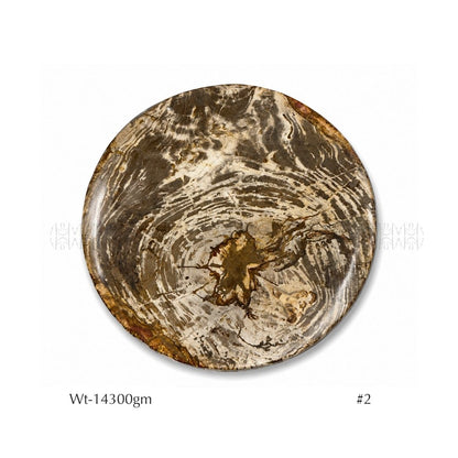 Empire Altar Petrified Wood Base 