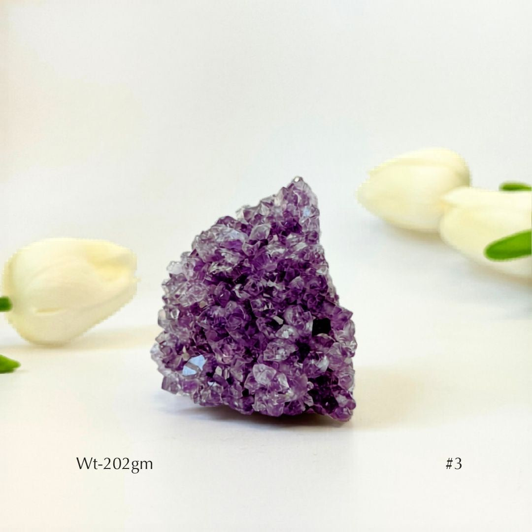 Collector's Piece Amethyst Flower Cluster