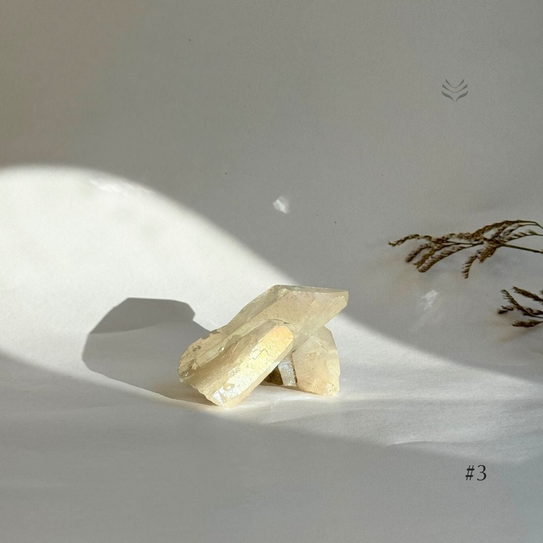 Release Emotional Baggage Angel Aura