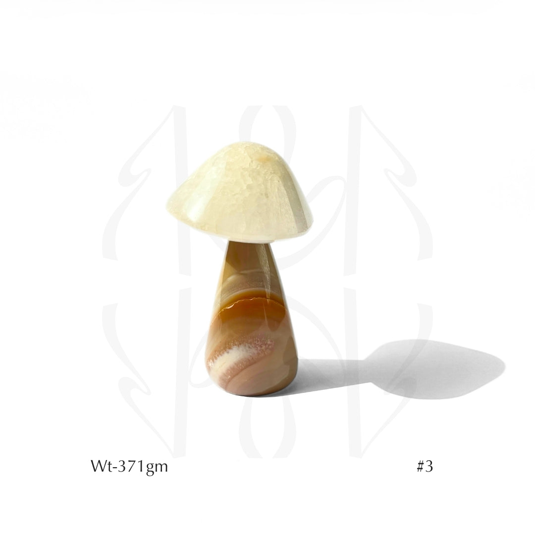 Money Mushroom