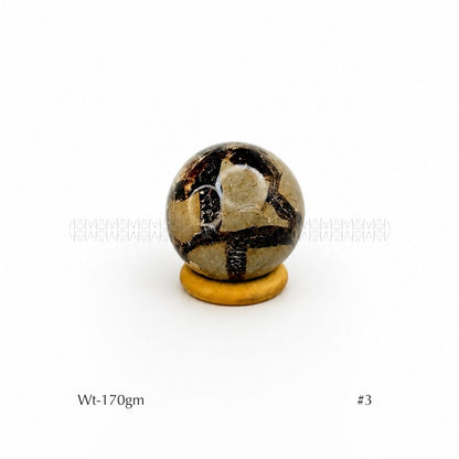 Authority Sepatarian Sphere