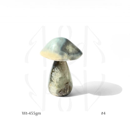 Money Mushroom