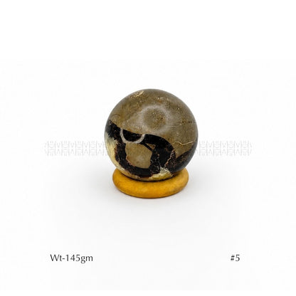 Authority Sepatarian Sphere