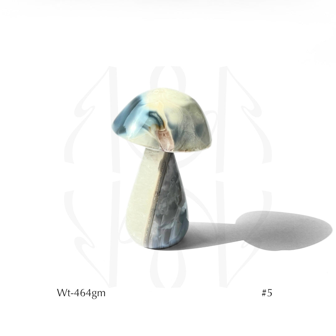 Money Mushroom