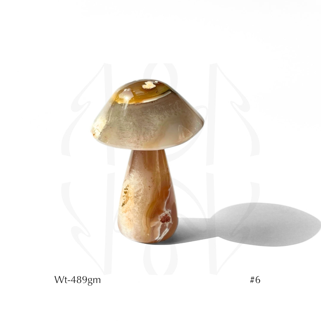 Money Mushroom