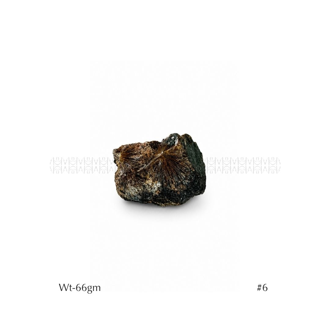 Soul Mission Lamprophyllite