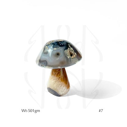 Money Mushroom