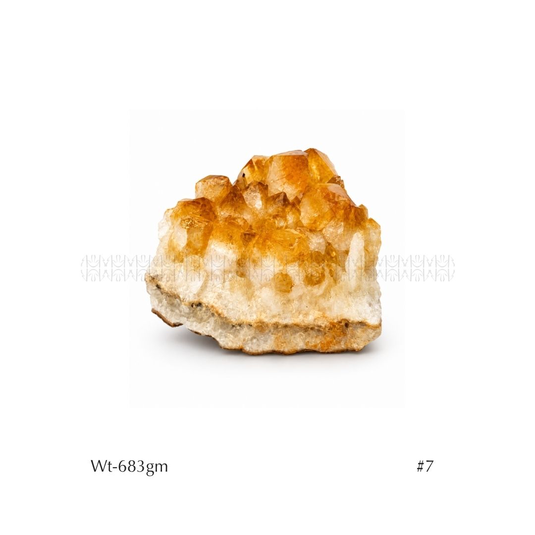 Cash Flow Citrine Cluster 