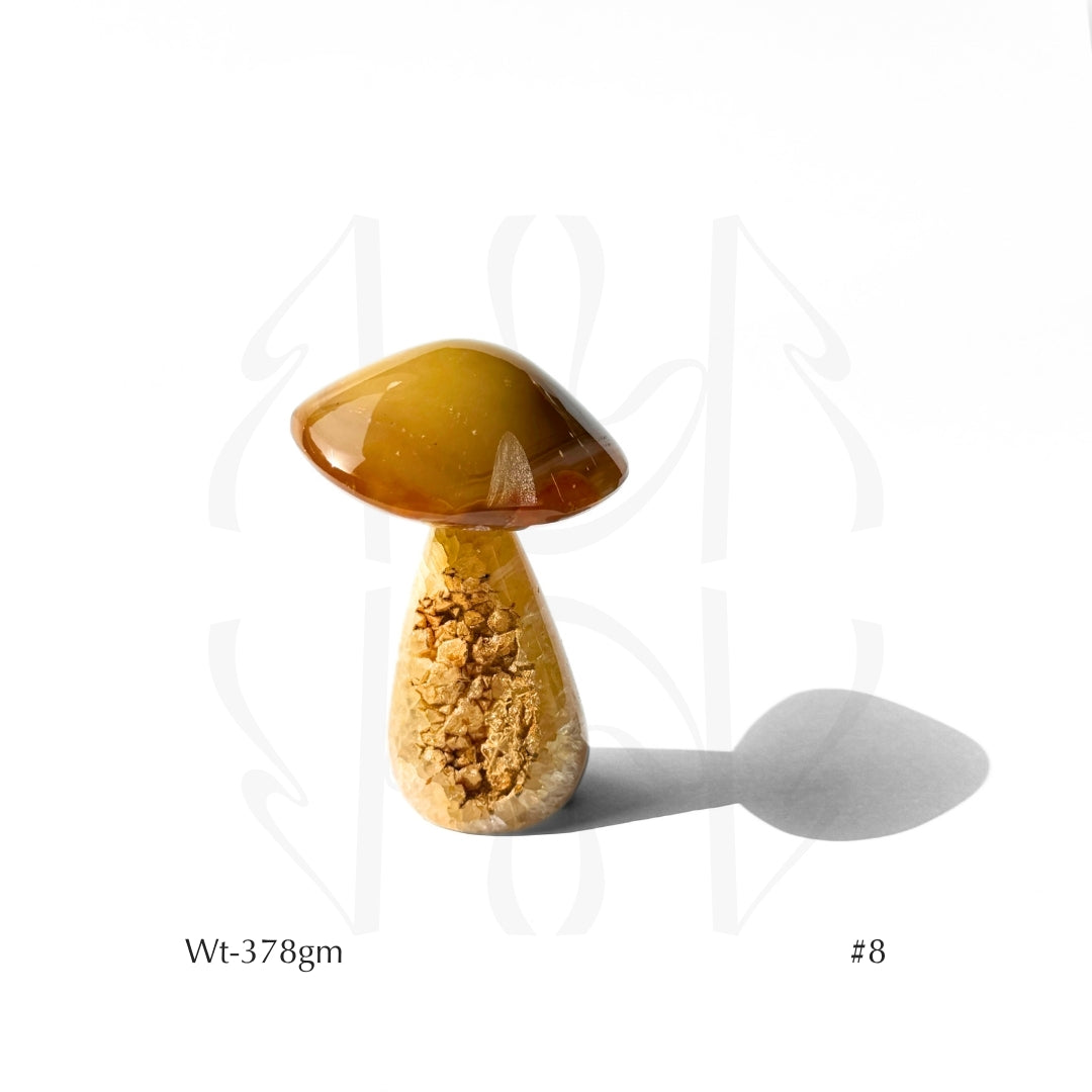 Money Mushroom