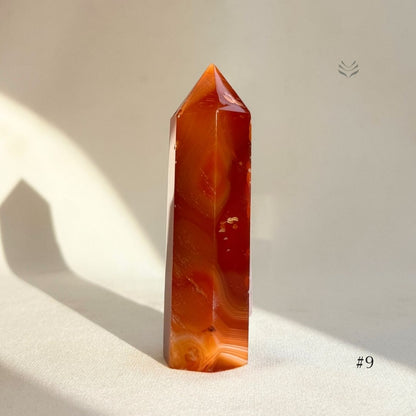 Tower of Success Carnelian