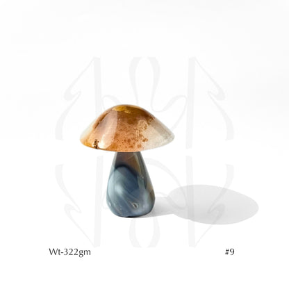 Money Mushroom