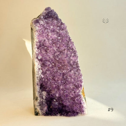 Amethyst Cluster