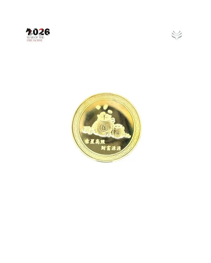 ANTI MISFORTUNE SNAKE COIN 