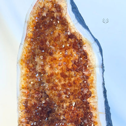 Citrine Geode - Abundance Order
