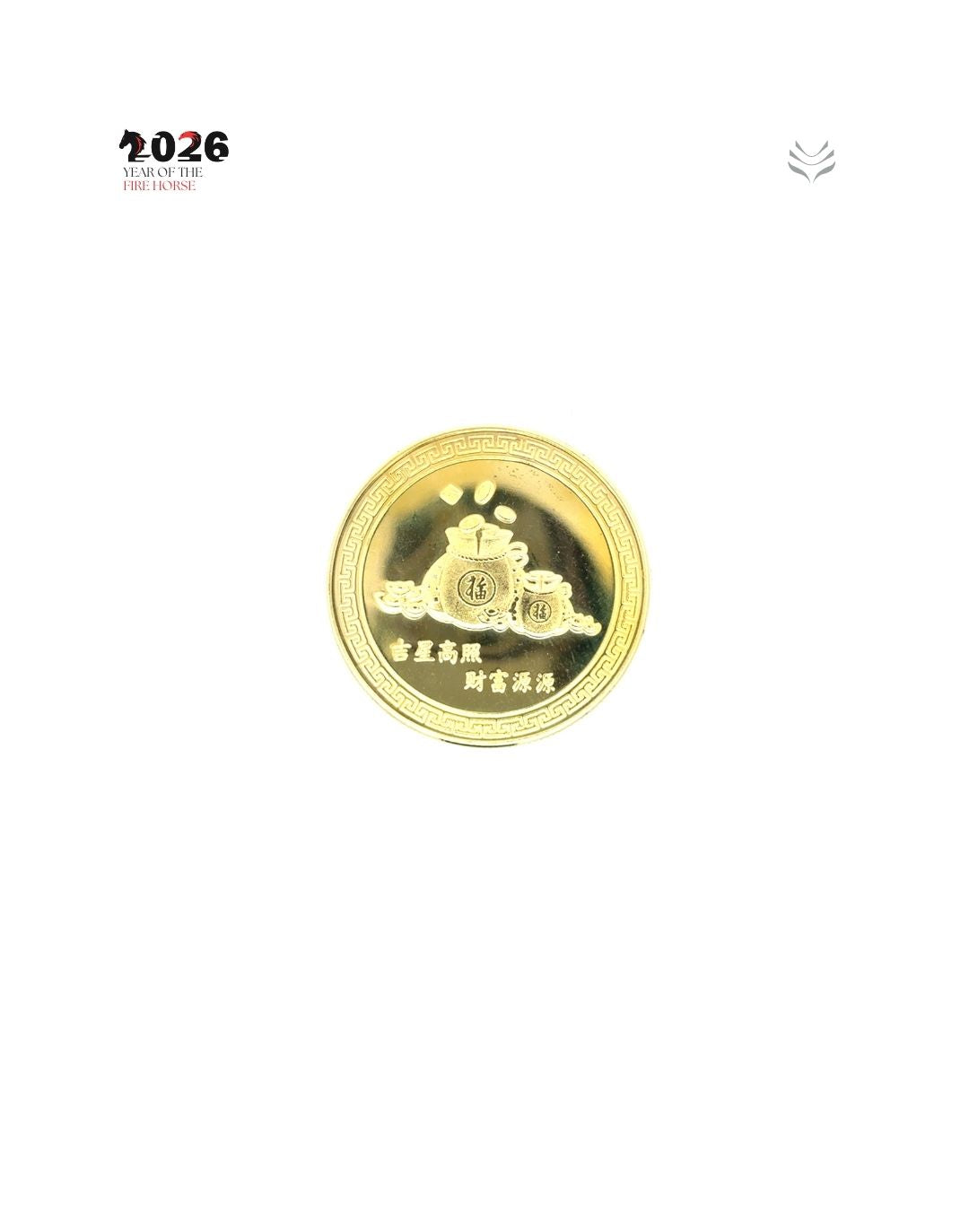 ANTI MISFORTUNE SNAKE COIN 