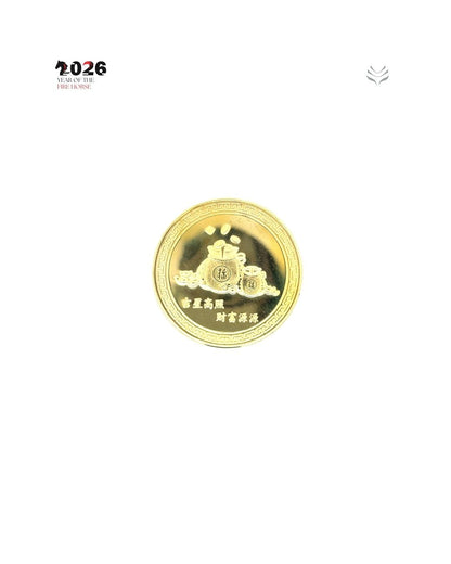 ANTI MISFORTUNE SNAKE COIN 