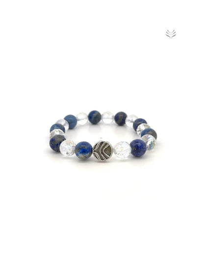 AQUARIUS ZODIAC MIXEL