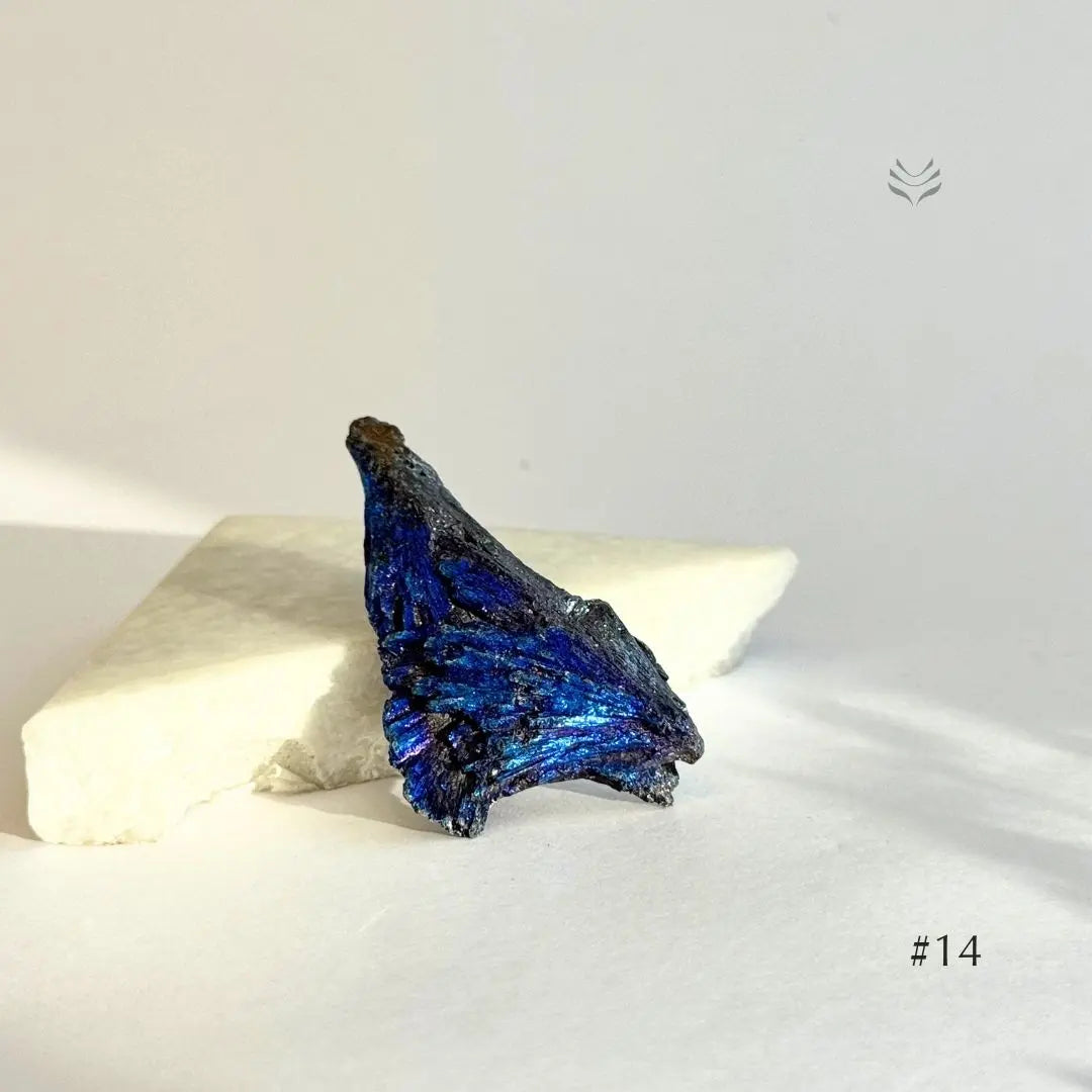 Aura Firewall Kyanite L  Crystal free form