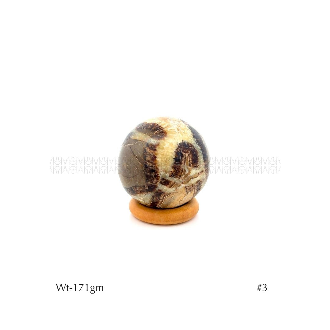 Authority Sepatarian Sphere - 2nd Edition 