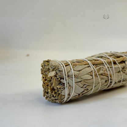 California White Sage 