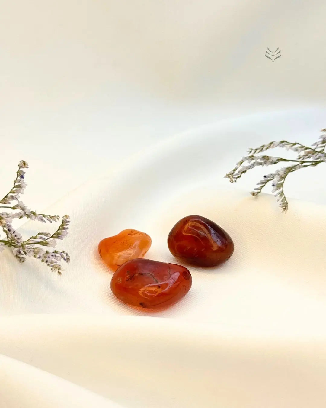 Carnelian Tumbles 