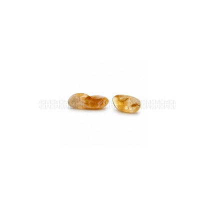 Citrine Tumble (Polished)  Crystal Tumbles