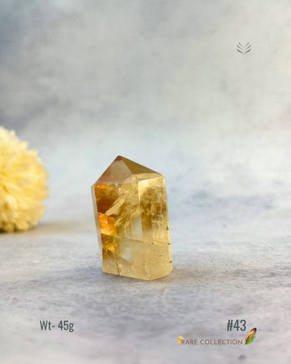 Premium Citrine Points - 2nd Edition