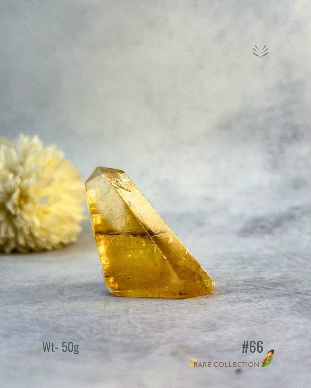 Premium Citrine Points - 2nd Edition