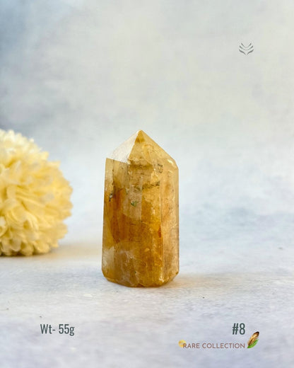 Premium Citrine Points