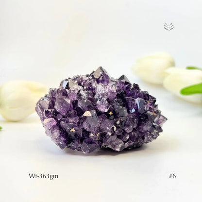 Collector's Piece Amethyst Flower Cluster  Geode