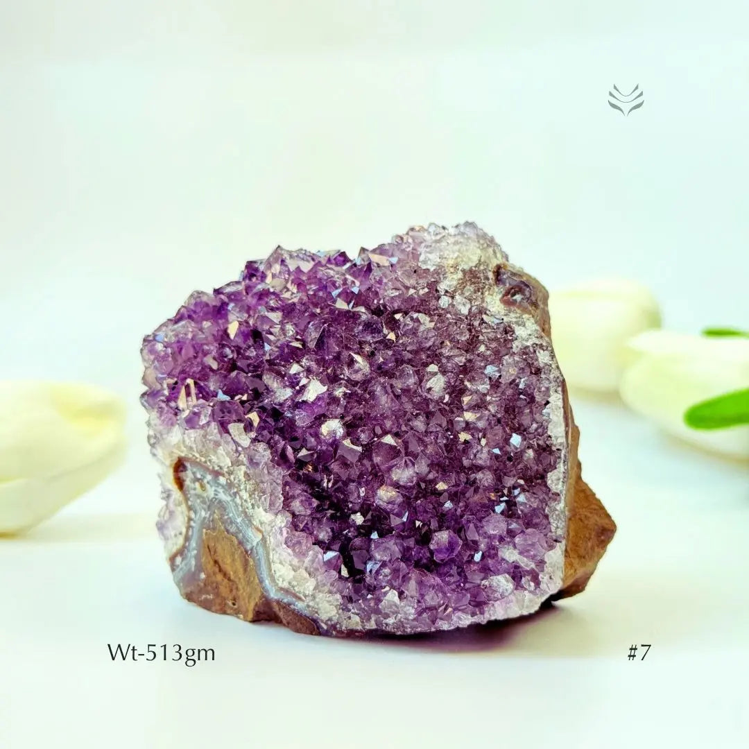 Collector's Piece Amethyst Flower Cluster  Geode