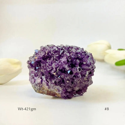 Collector's Piece Amethyst Flower Cluster  Geode