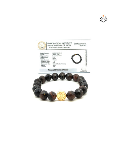 Ancient Support Petrified Wood Bracelet (Faceted)