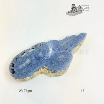 Fame Through Talk Blue Coral 