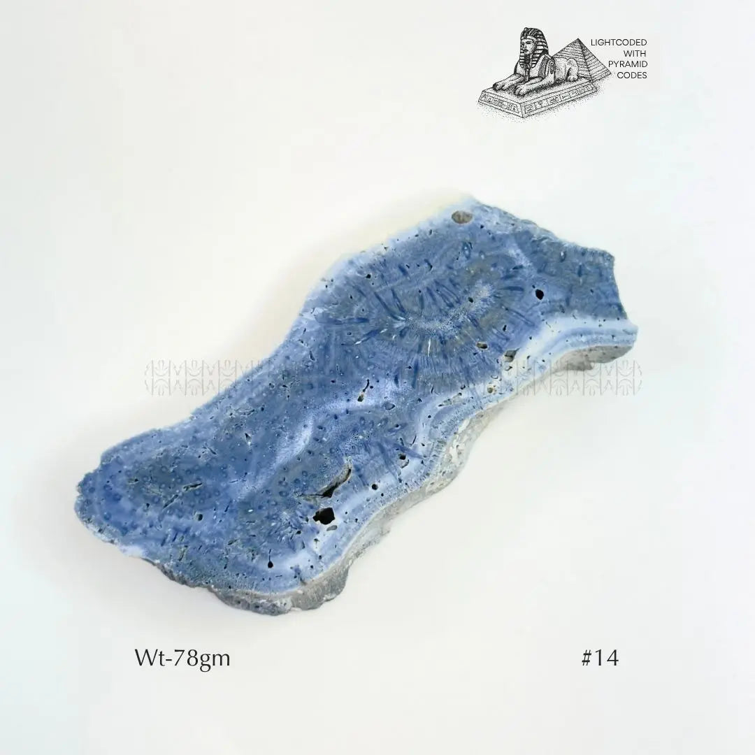 Fame Through Talk Blue Coral 