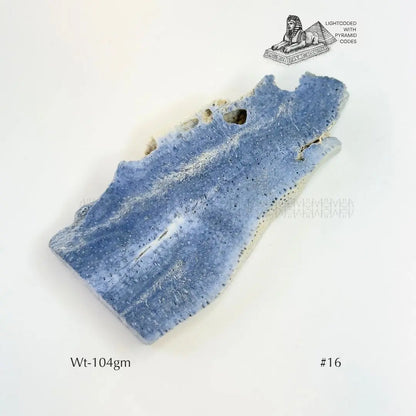 Fame Through Talk Blue Coral 