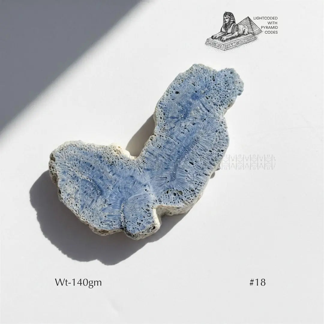 Fame Through Talk Blue Coral 