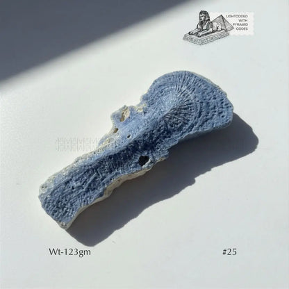 Fame Through Talk Blue Coral 