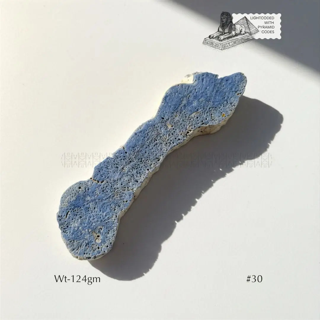 Fame Through Talk Blue Coral 