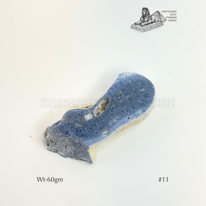 Fame Through Talk Blue Coral 