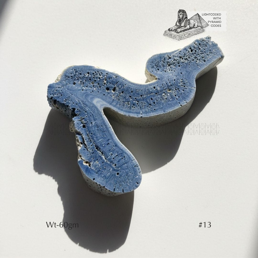 Fame Through Talk Blue Coral 