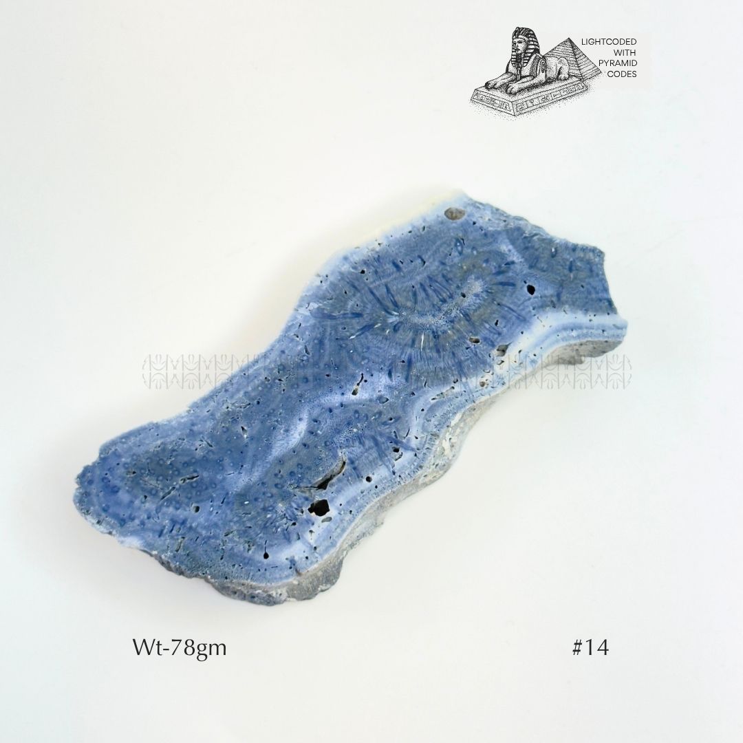Fame Through Talk Blue Coral 
